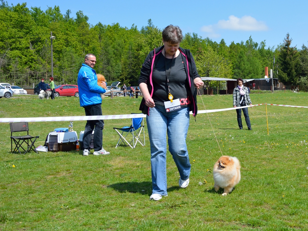 DSC_0238 re