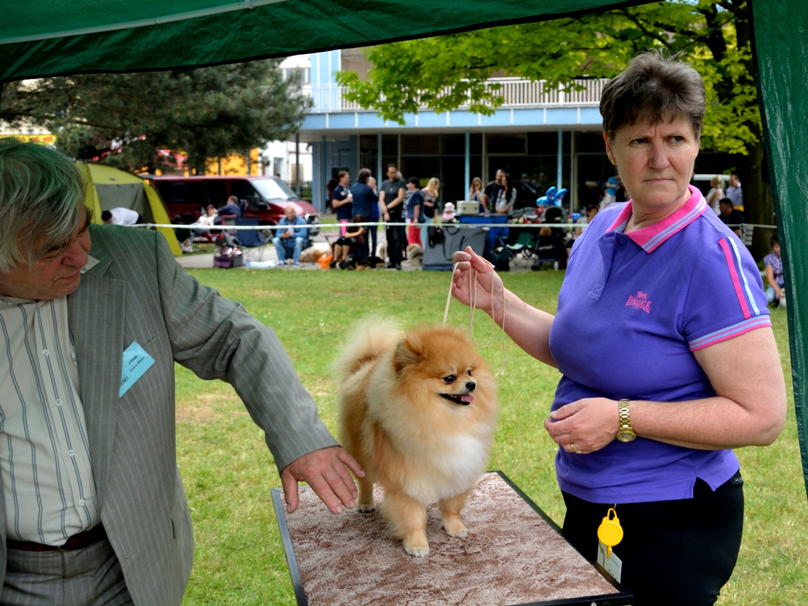 DSC_0705ret