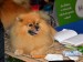 DSC_1291r